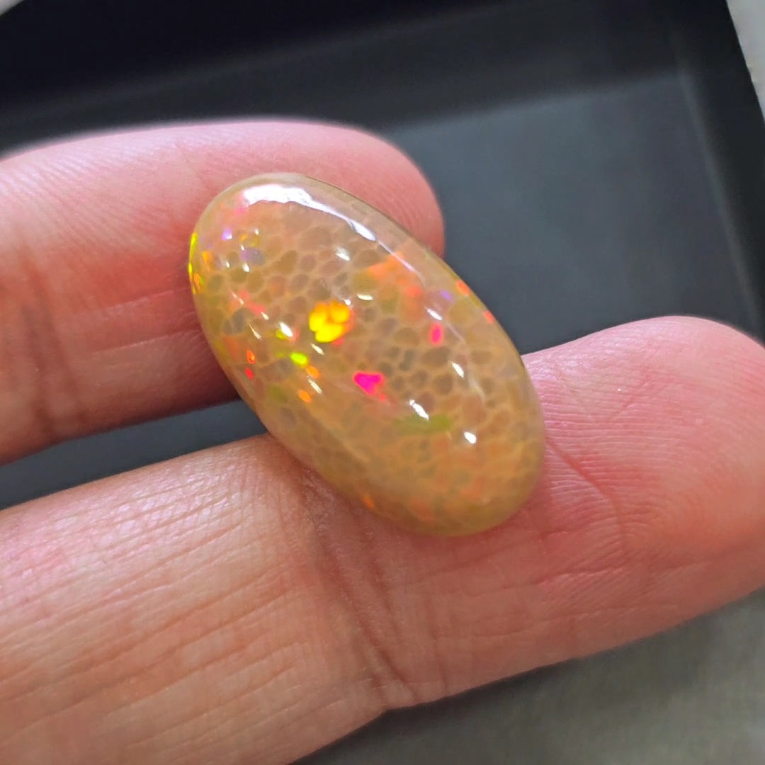 Natural Ethiopian Opal Cabochon Multi Fire | Oval | Size: 24x13mm | 14.9Cts - The LabradoriteKing