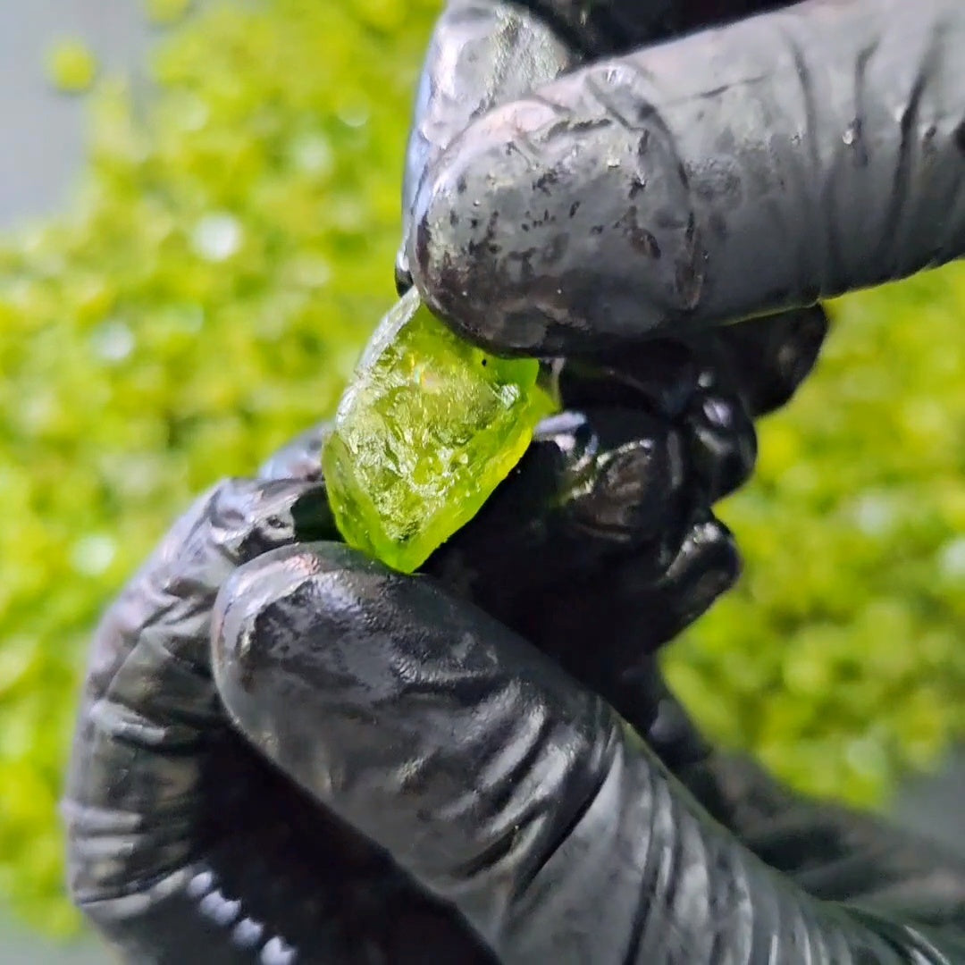 100 Carats of Peridot | Top colour | Untreated | 8mm to 12mm | 25 Pcs - The LabradoriteKing