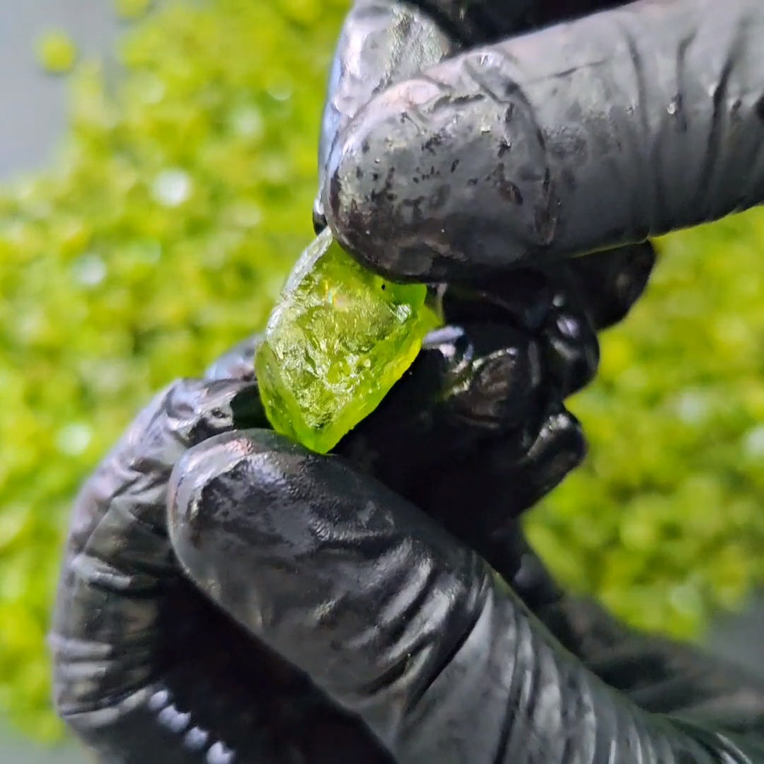 100 Carats of Peridot | Top colour | Untreated | 8mm to 12mm | 25 Pcs - The LabradoriteKing