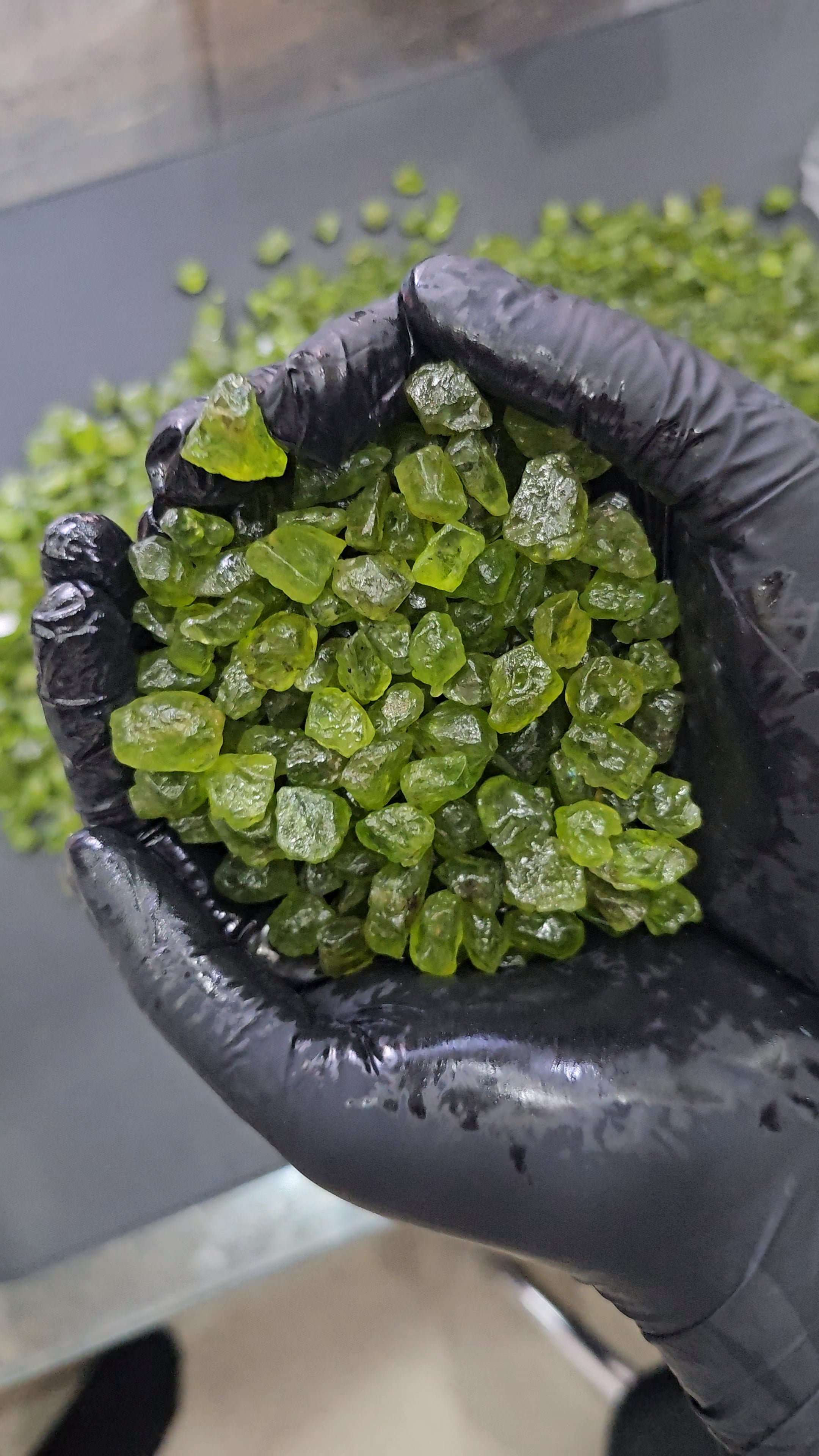 100 Carats of Peridot | Top colour | Untreated | 8mm to 12mm | 25 Pcs - The LabradoriteKing