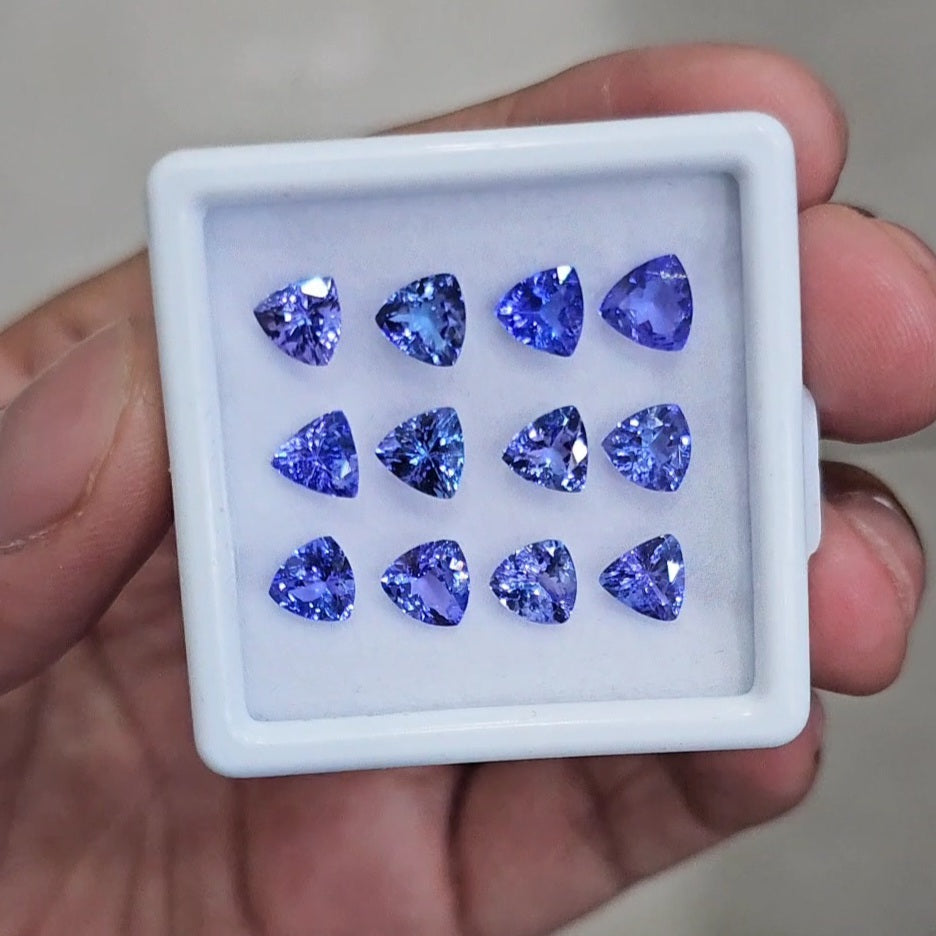 12Pcs Natural Tanzanite Faceted  | Trillion | Size: 6mm - The LabradoriteKing
