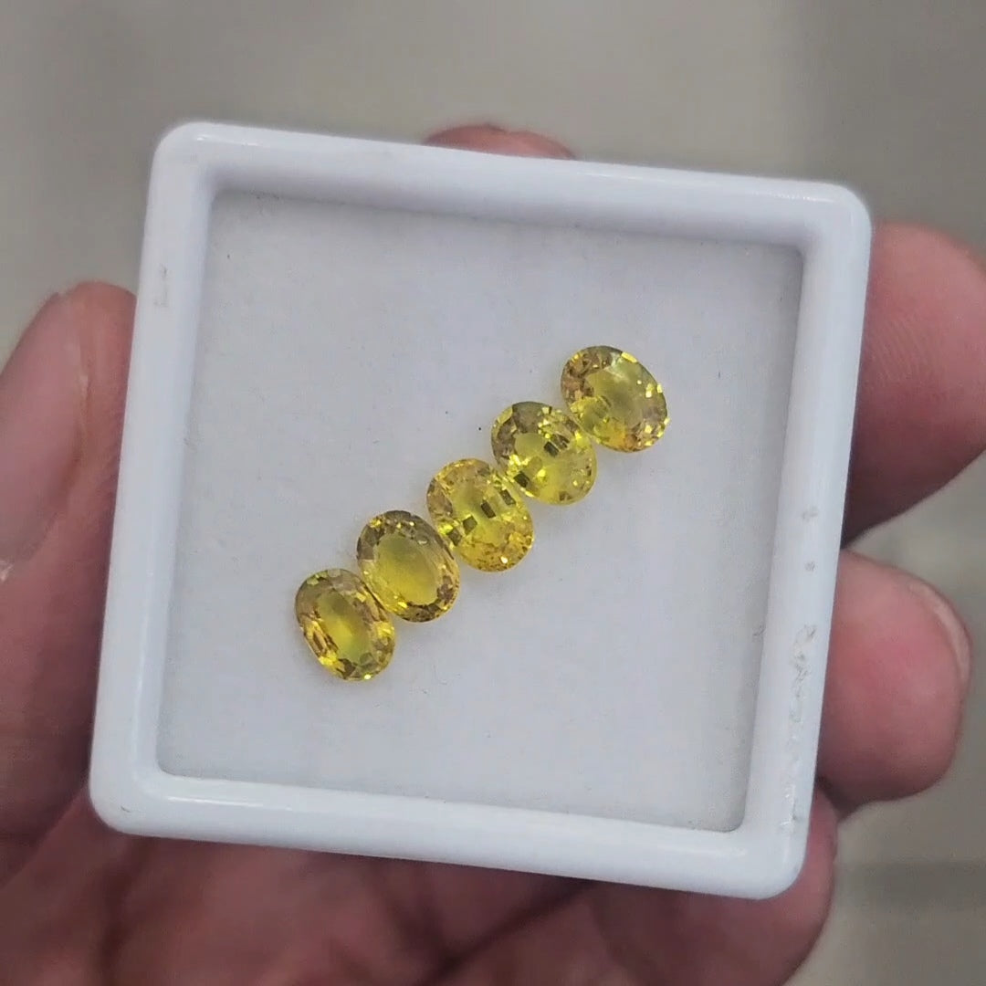 5Pcs of Natural Yellow Sapphire Faceted | Oval | Size: 7x5mm - The LabradoriteKing