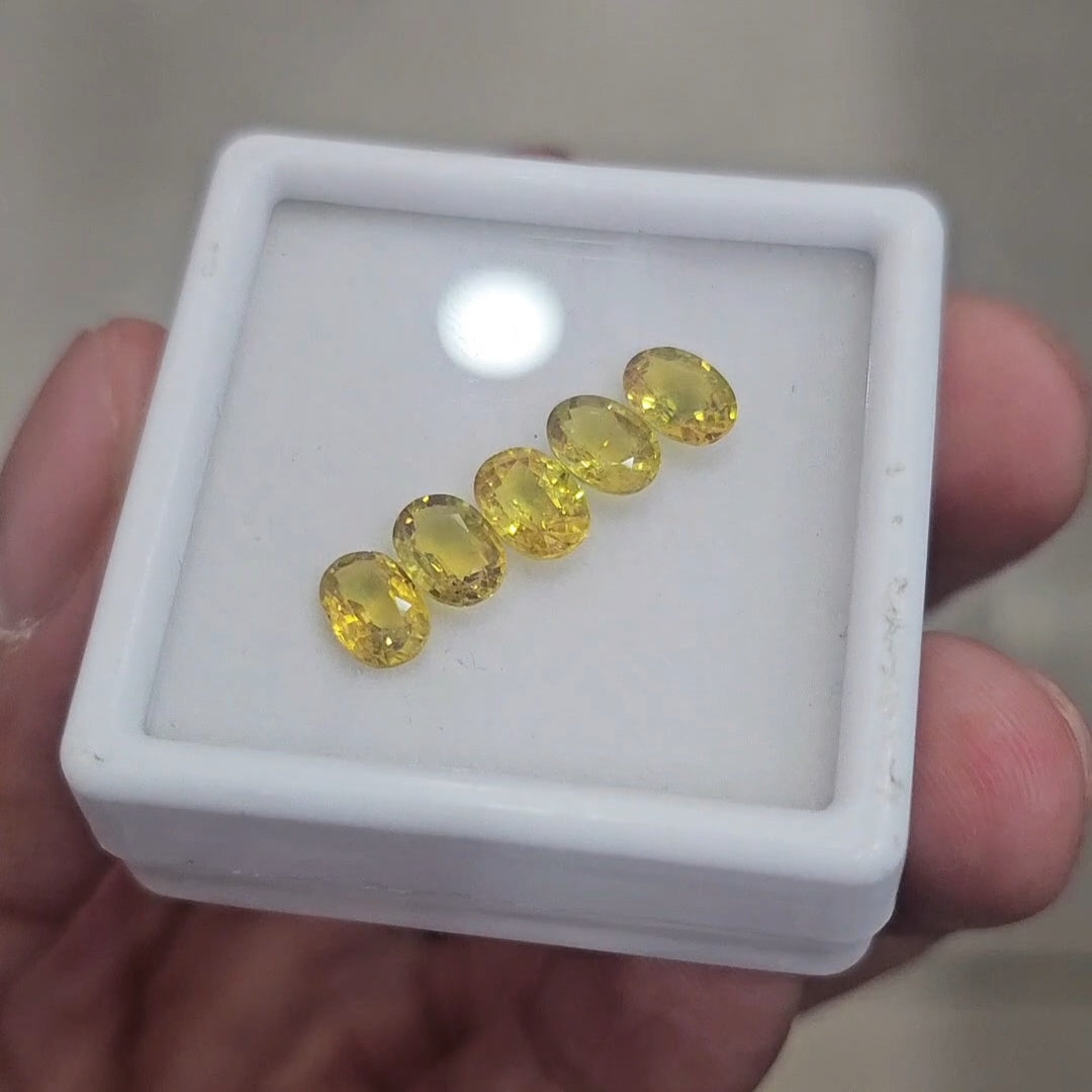 5Pcs of Natural Yellow Sapphire Faceted | Oval | Size: 7x5mm - The LabradoriteKing