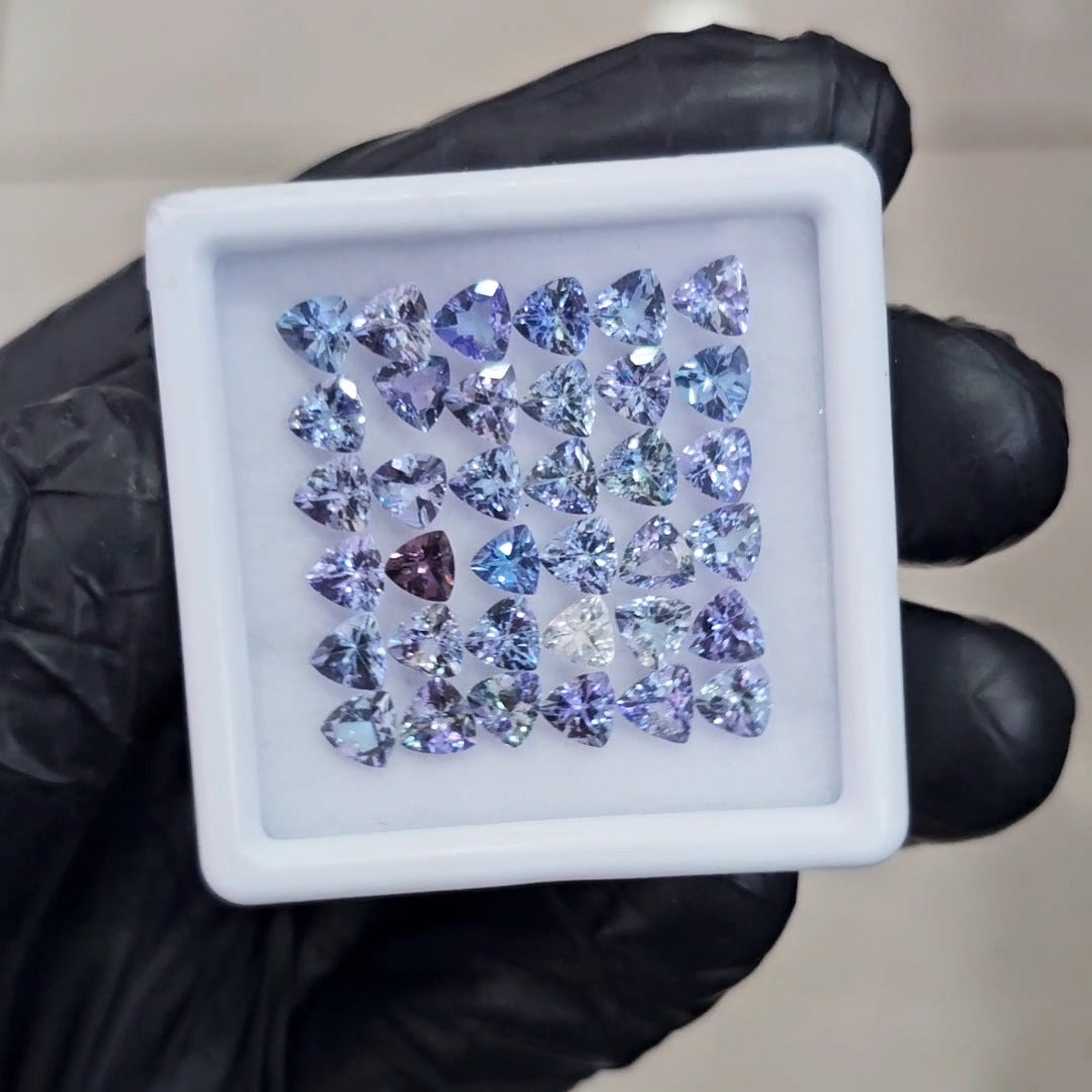 36 Pcs Of Natural Unheated Tanzanite Faceted | Shape: Trillion | Size: 4.50mm