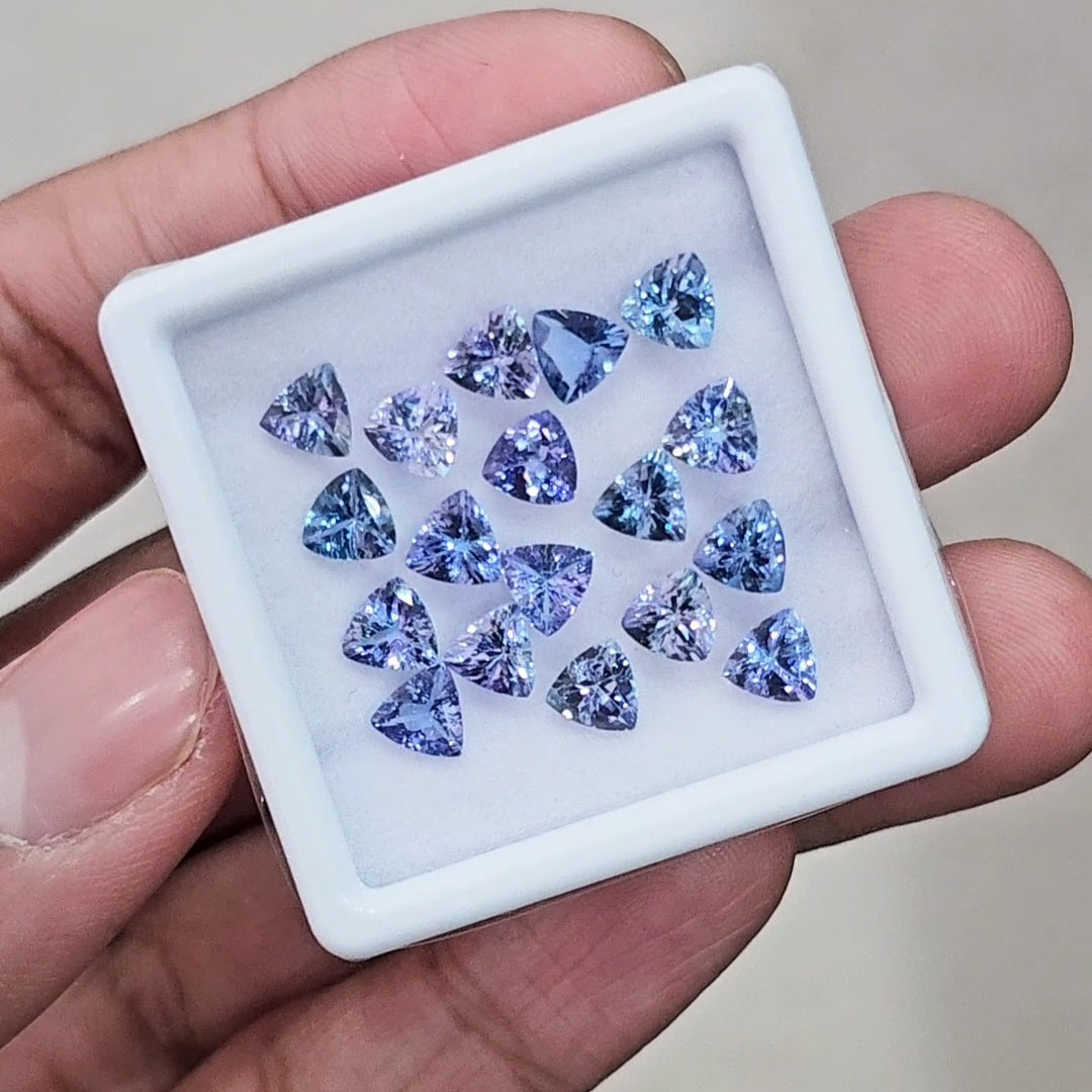 18 Pcs Of Natural Unheated Tanzanite Faceted | Shape: Trillion | Size: 6mm