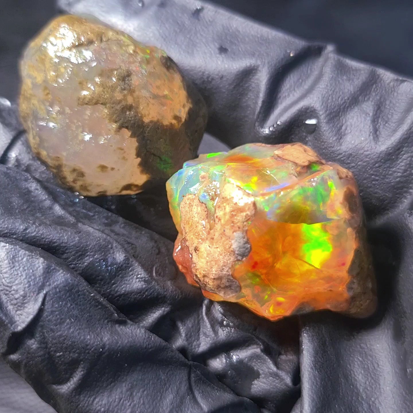 2 Pcs Natural Ethiopian Phantom Water Opal Rough | Raw untreated  | 38-34mm - The LabradoriteKing
