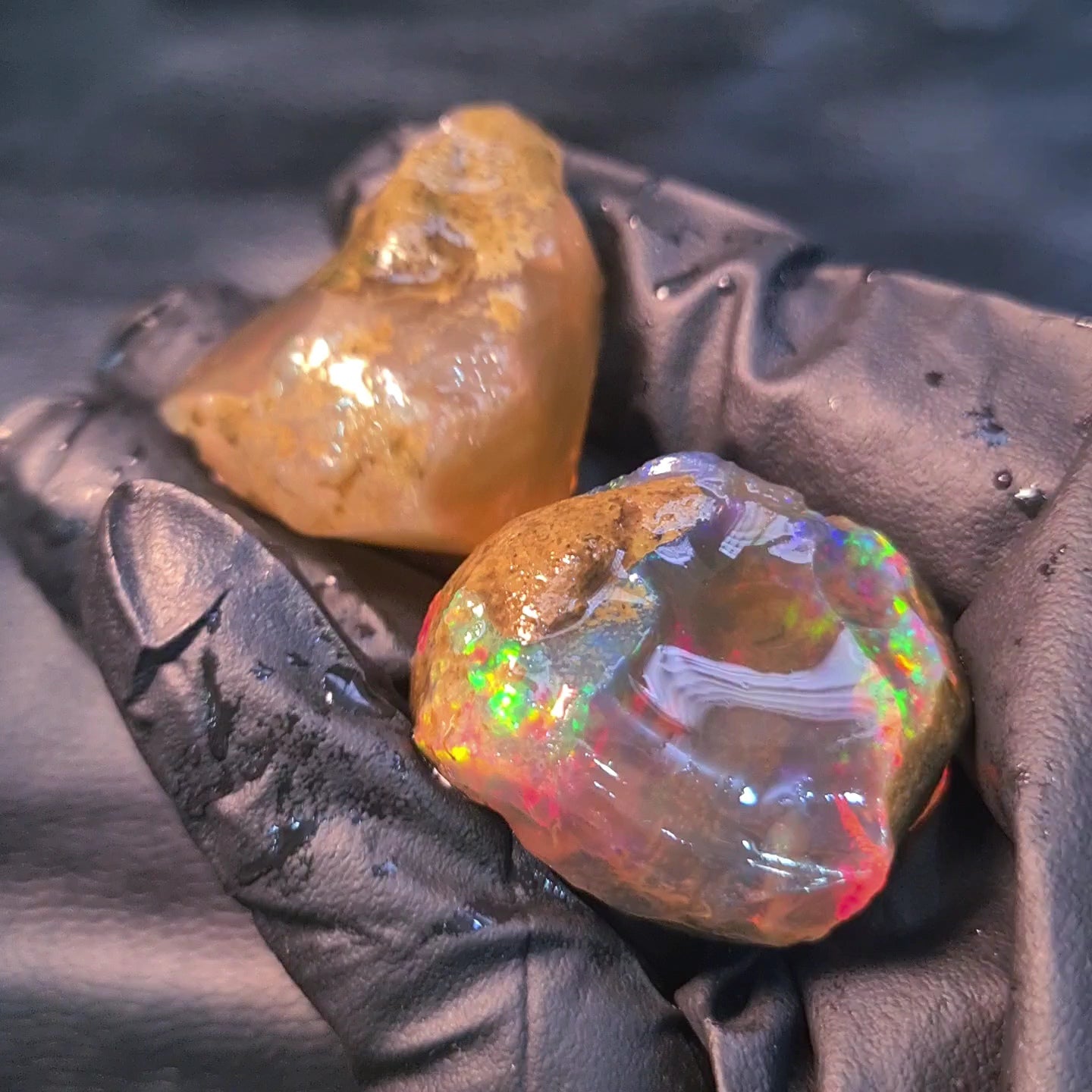 2 Pcs Natural Ethiopian Phantom Water Opal Rough | Raw untreated  | 38-38mm - The LabradoriteKing