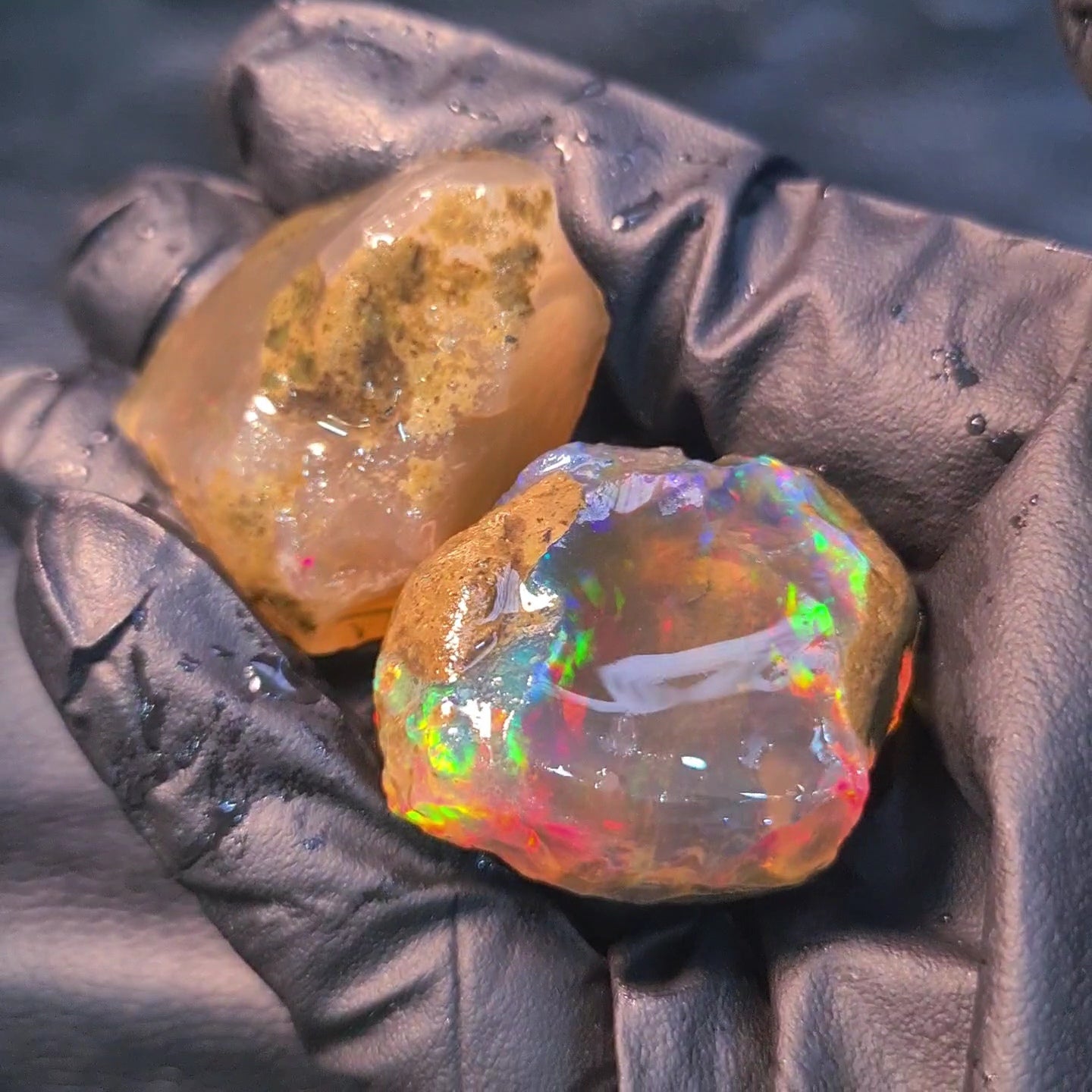2 Pcs Natural Ethiopian Phantom Water Opal Rough | Raw untreated  | 38-38mm - The LabradoriteKing