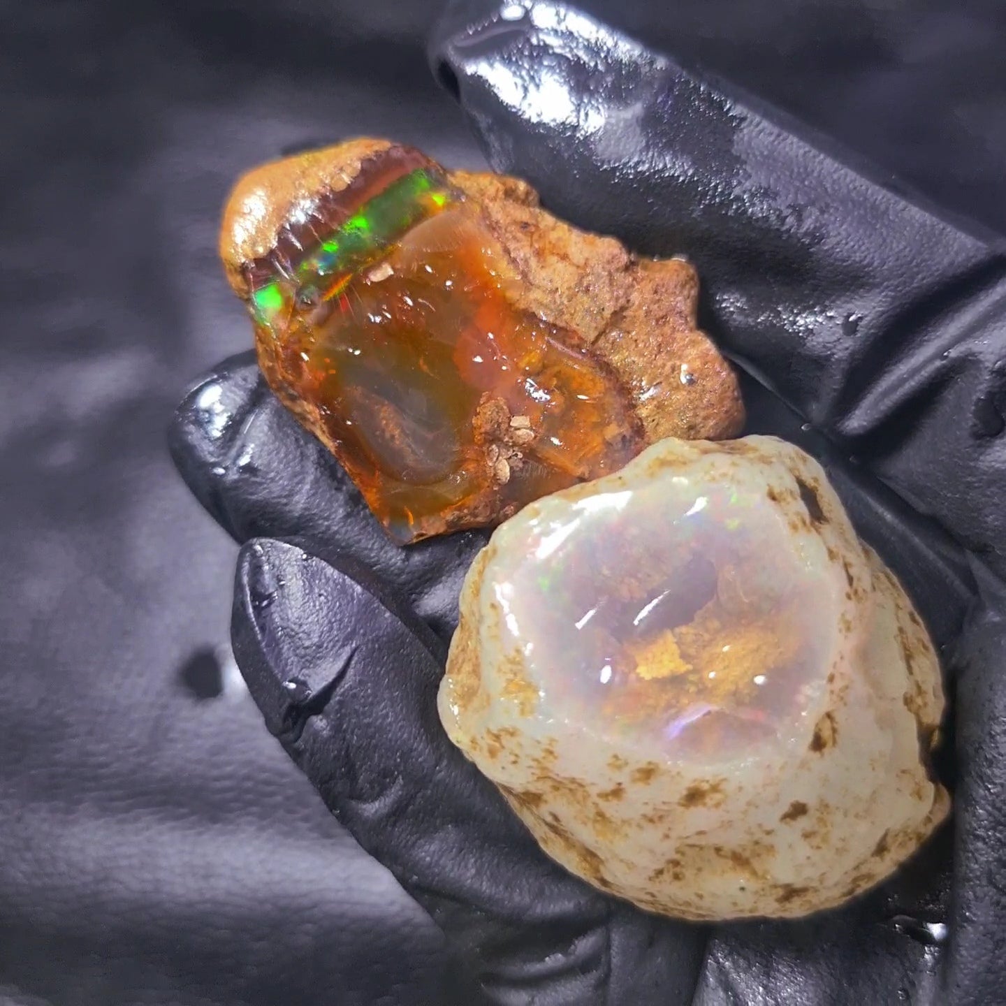 2 Pcs Natural Ethiopian Phantom Water Opal Rough | Raw untreated  | 46-44mm - The LabradoriteKing