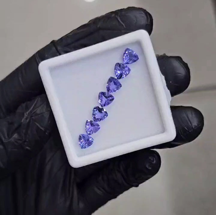 7 Pcs Natural Tanzanite Faceted |Trillion| Size: 6mm - The LabradoriteKing
