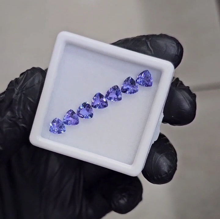 7 Pcs Natural Tanzanite Faceted |Trillion| Size: 6mm - The LabradoriteKing