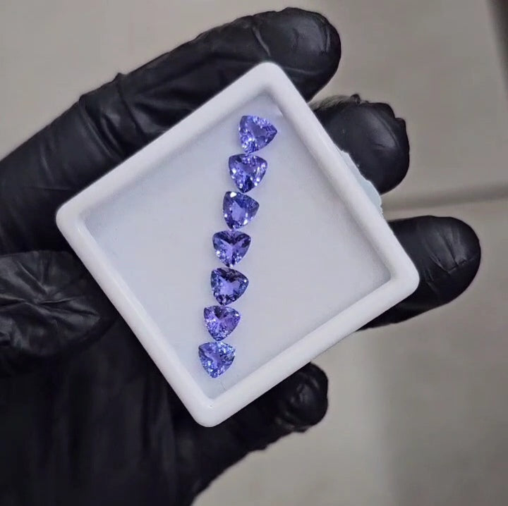 7 Pcs Natural Tanzanite Faceted |Trillion| Size: 6mm - The LabradoriteKing