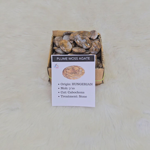 1KG Plume Hunerian moss Agate Cabochons | 90-110Pcs | 1'' to 2''Inches