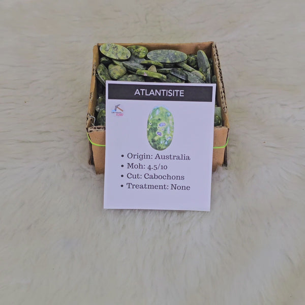 500g / 1kg Atlantisite Cabochons | 120-140Pcs Approx | 18mm to 50mm | Natural Gemstone