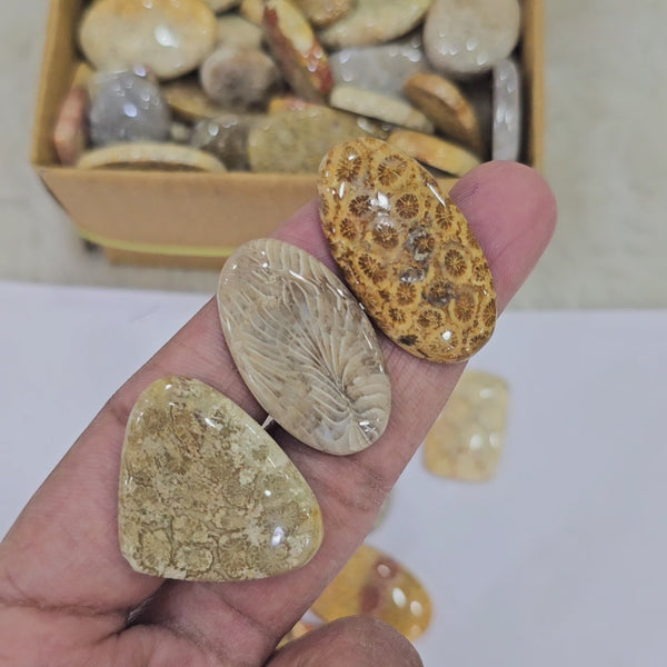 1KG Natural Fosil Jasper | 1