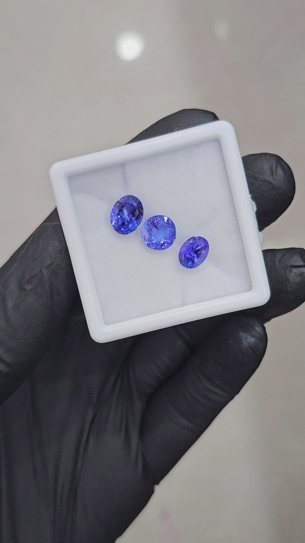 3 Pcs Natural Tanzanite  | Shape: Round & Oval| Size: 8-9mm