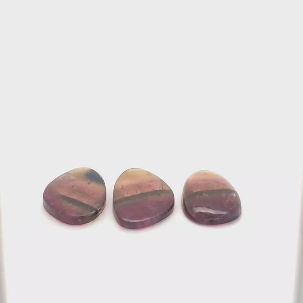 3 Pics Of Natural Watermelon Tourmaline Slice | Size:32-34mm | With Certificate