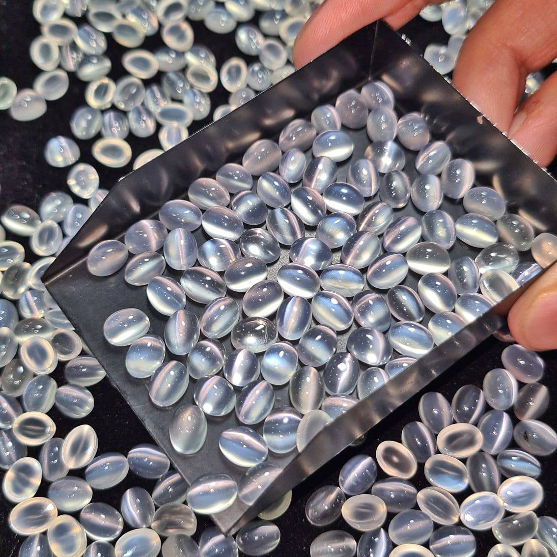 10 Pcs of Cats eye Moonstone 8x6mm | AAAA Quality - The LabradoriteKing