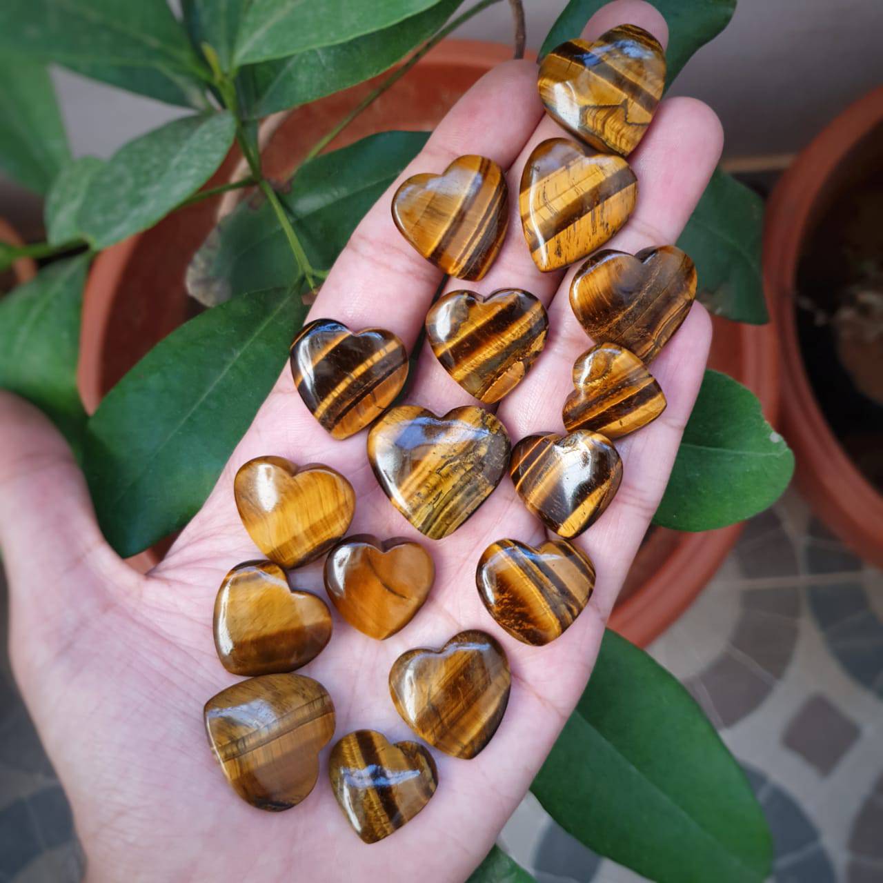 12 Pcs Tiger Eye Hearts Lot Both side Polished - The LabradoriteKing