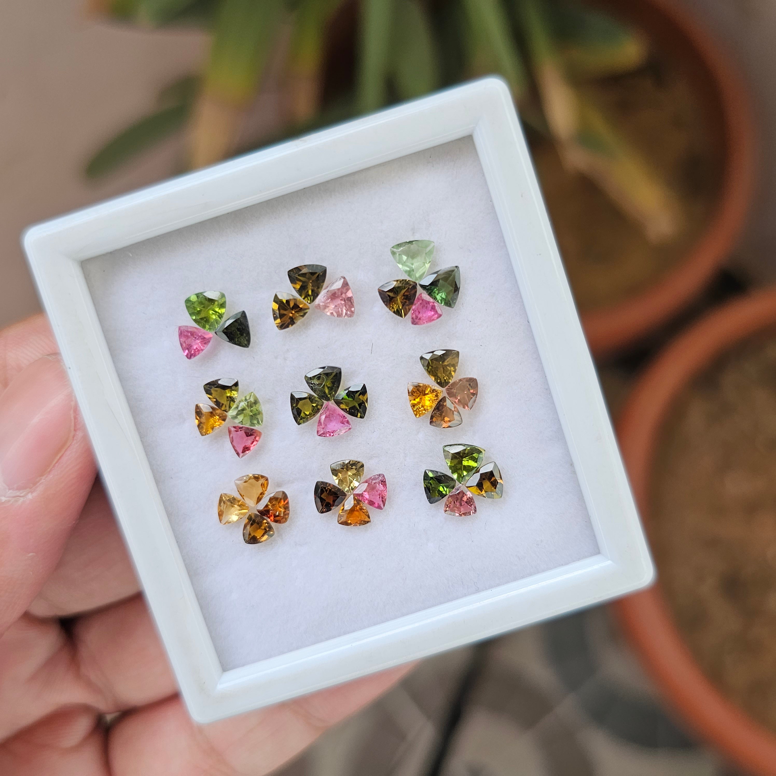 34 Pieces Natural Multi Tourmaline Faceted Gemstones Trillion Shape, 4mm to 5mm - The LabradoriteKing