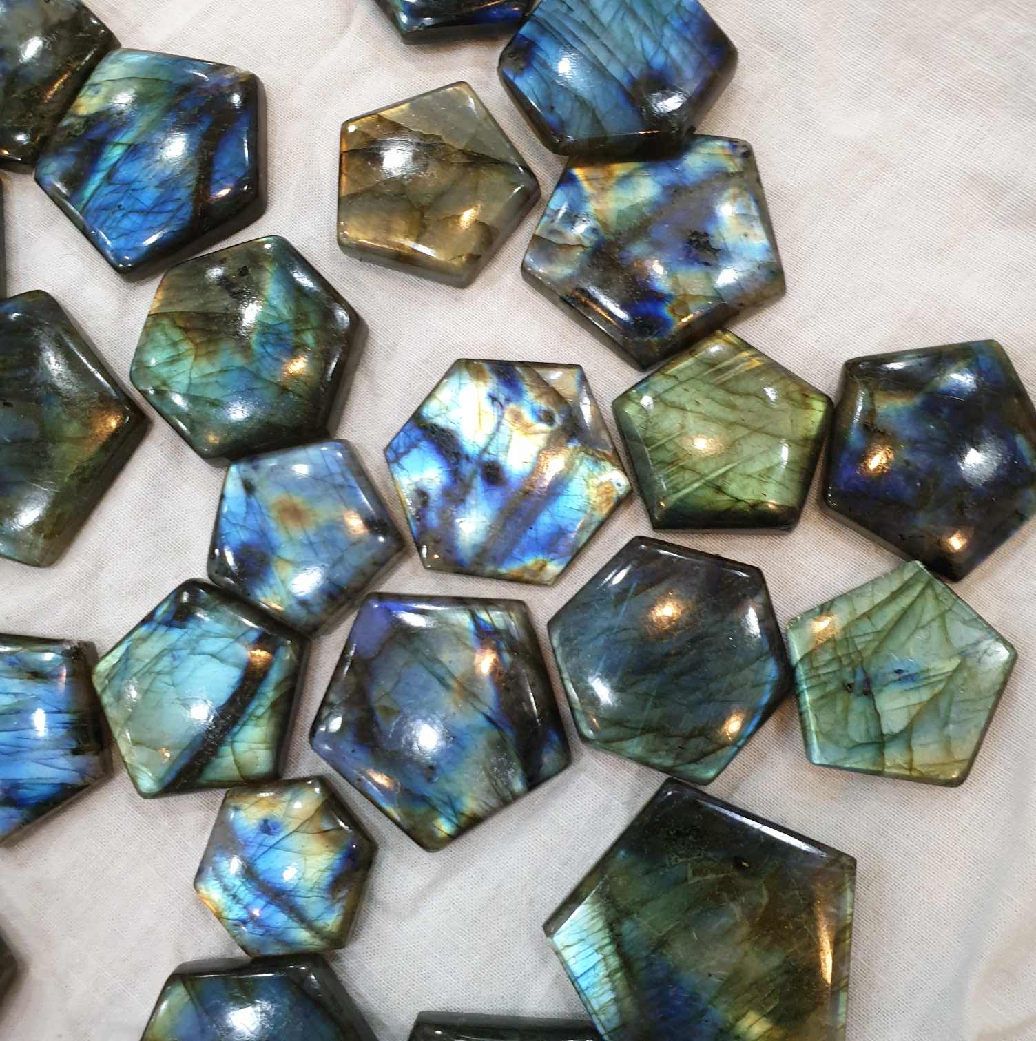 5 Pcs Star Natural Labradorites Flat Backs BIG SIZE Brilliant Hue - The LabradoriteKing