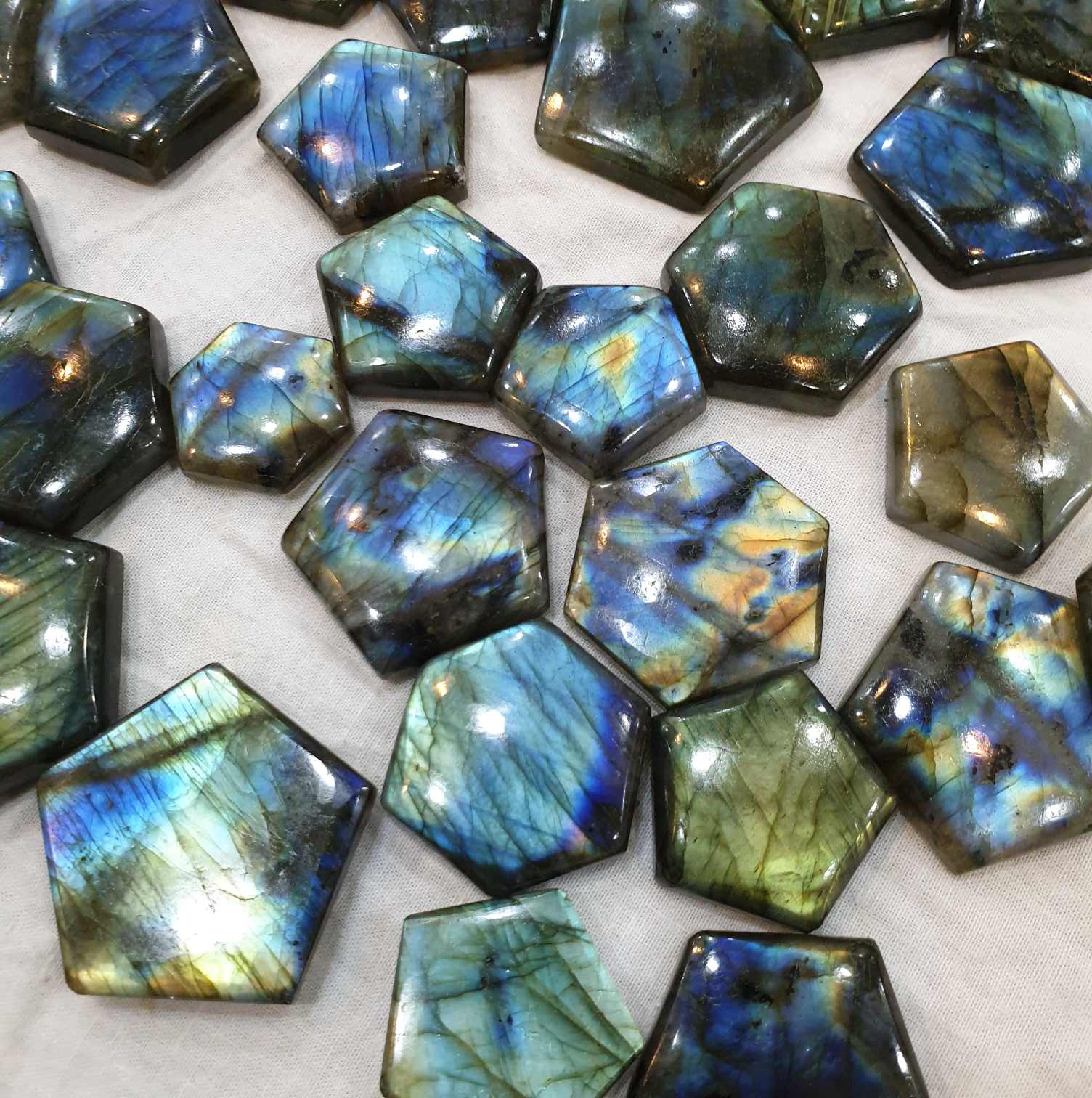 5 Pcs Star Natural Labradorites Flat Backs BIG SIZE Brilliant Hue - The LabradoriteKing