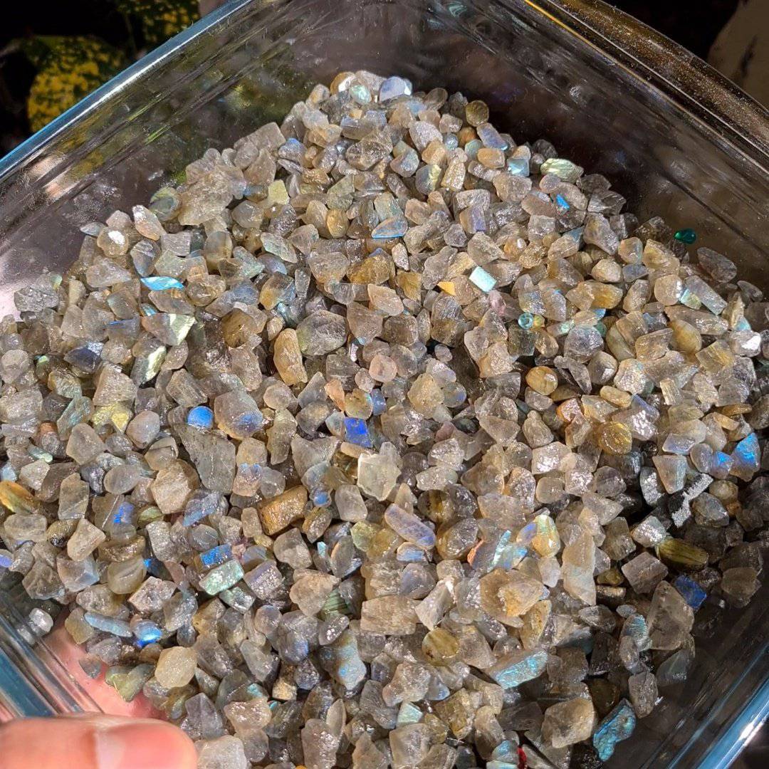 60pcs Labradorite Rough Raw unshape | 8-15mm Sizes - The LabradoriteKing