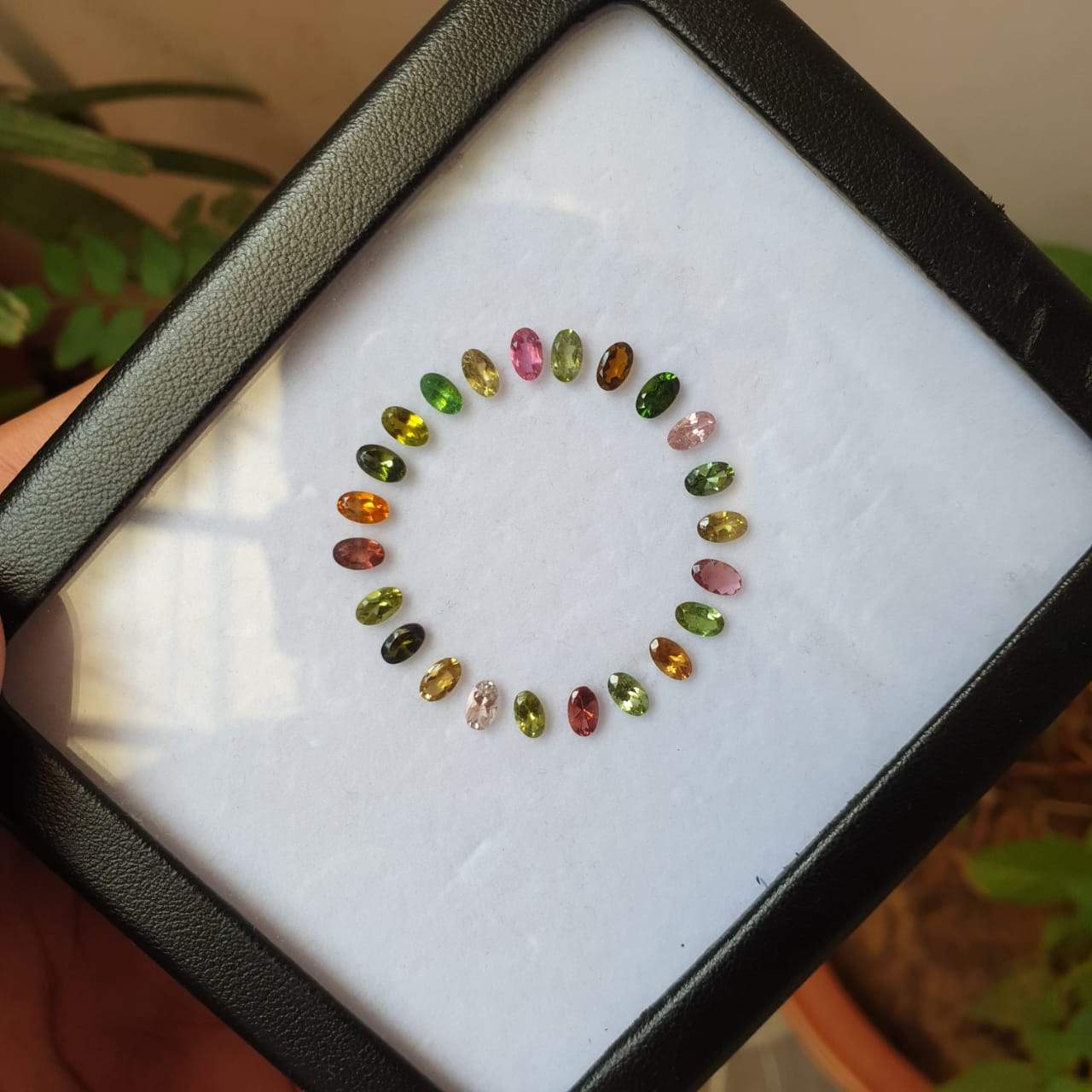 Dial Set of Natural Tourmaline Lot 23pcs | 6 Cts | 5x3mm - The LabradoriteKing