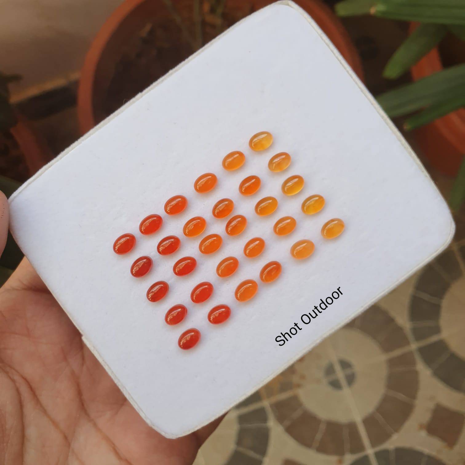 Natural Carnelian Graduated Color Contrast Set 30pcs/ 8mm Cabochons - The LabradoriteKing