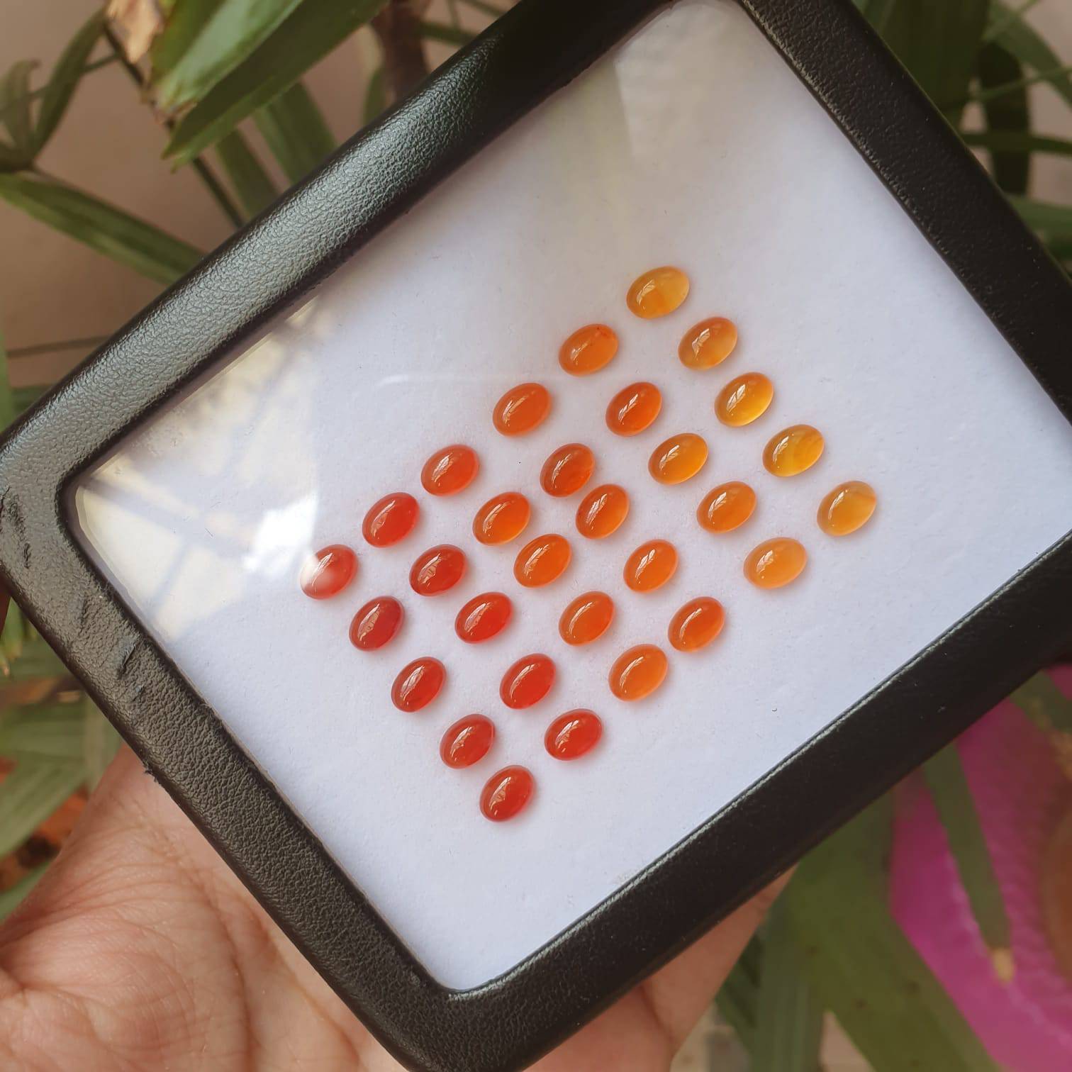 Natural Carnelian Graduated Color Contrast Set 30pcs/ 8mm Cabochons - The LabradoriteKing