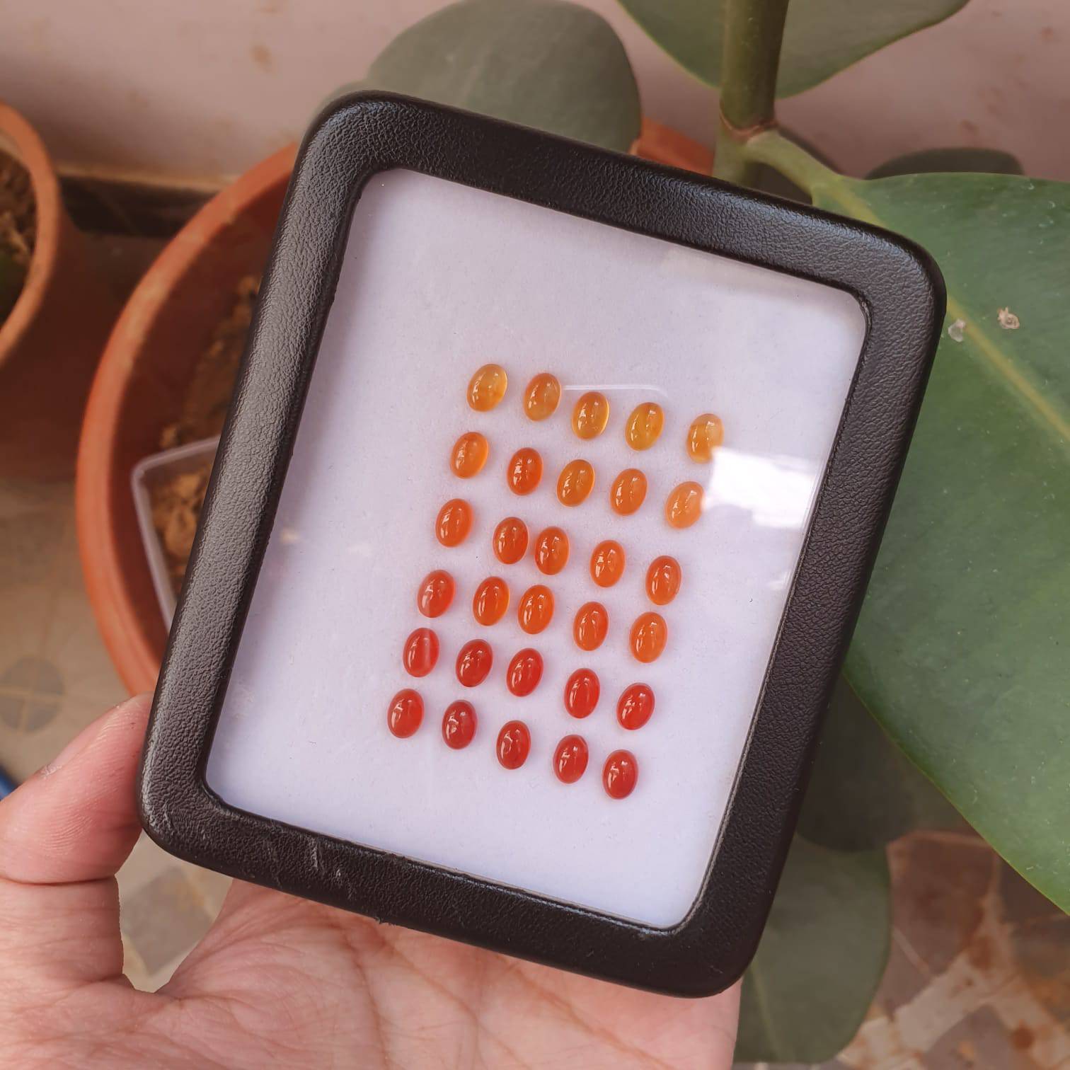 Natural Carnelian Graduated Color Contrast Set 30pcs/ 8mm Cabochons - The LabradoriteKing