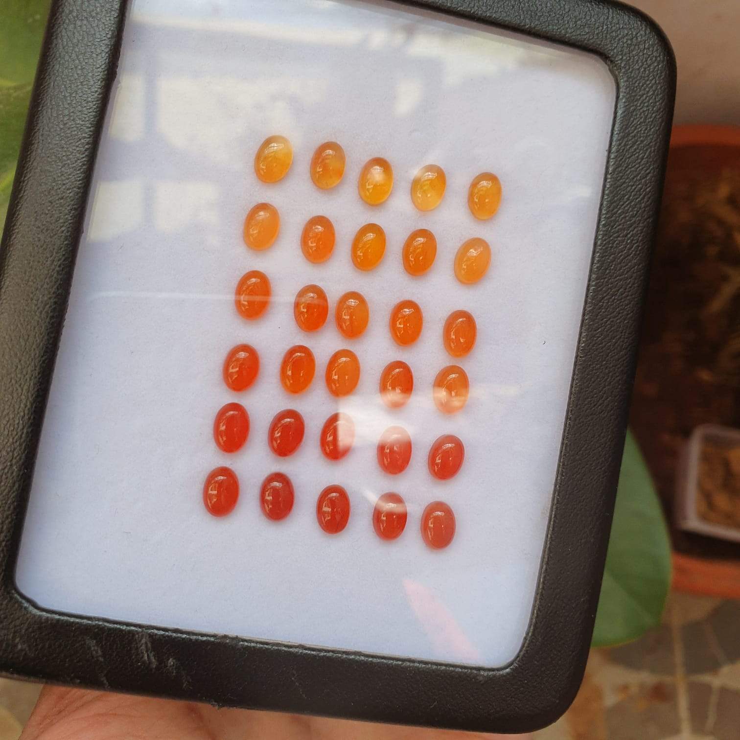 Natural Carnelian Graduated Color Contrast Set 30pcs/ 8mm Cabochons - The LabradoriteKing