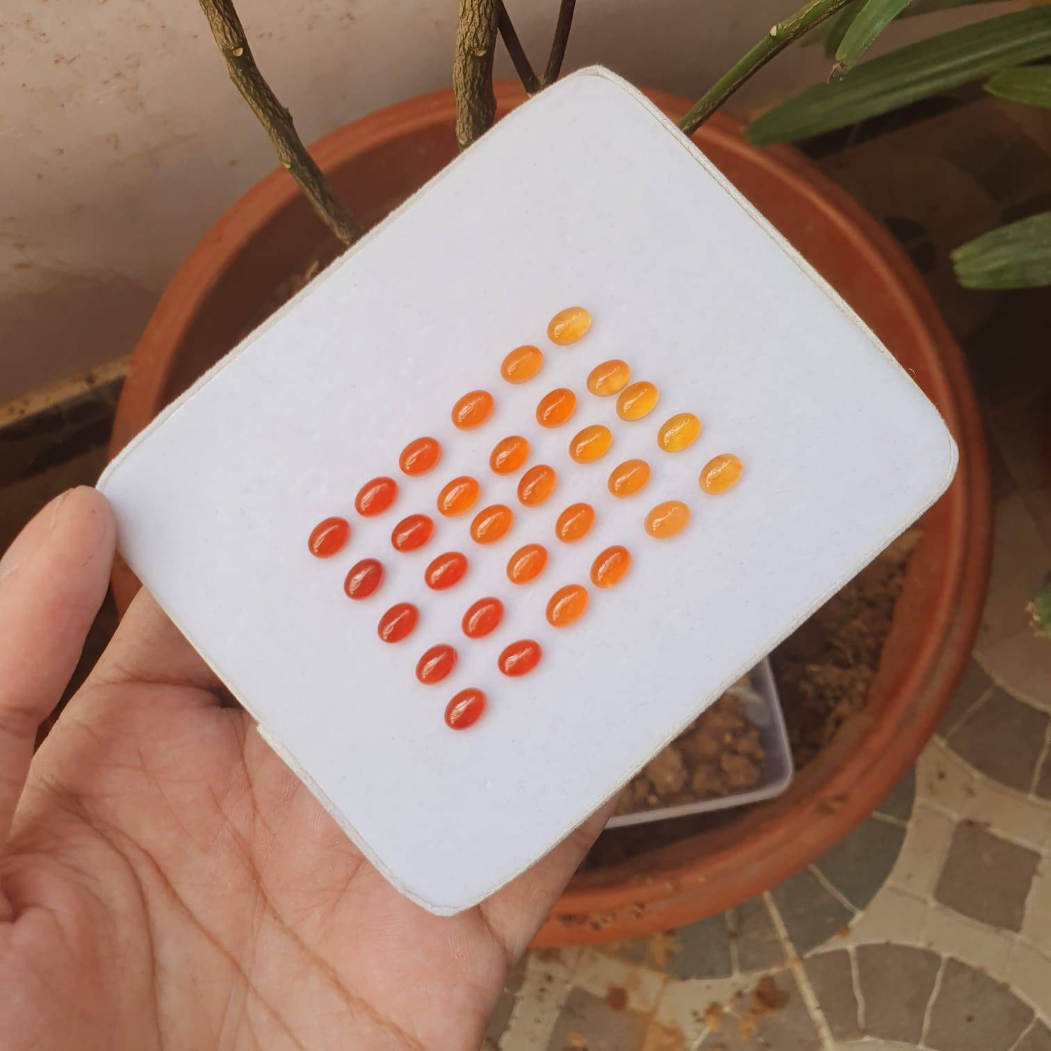 Natural Carnelian Graduated Color Contrast Set 30pcs/ 8mm Cabochons - The LabradoriteKing