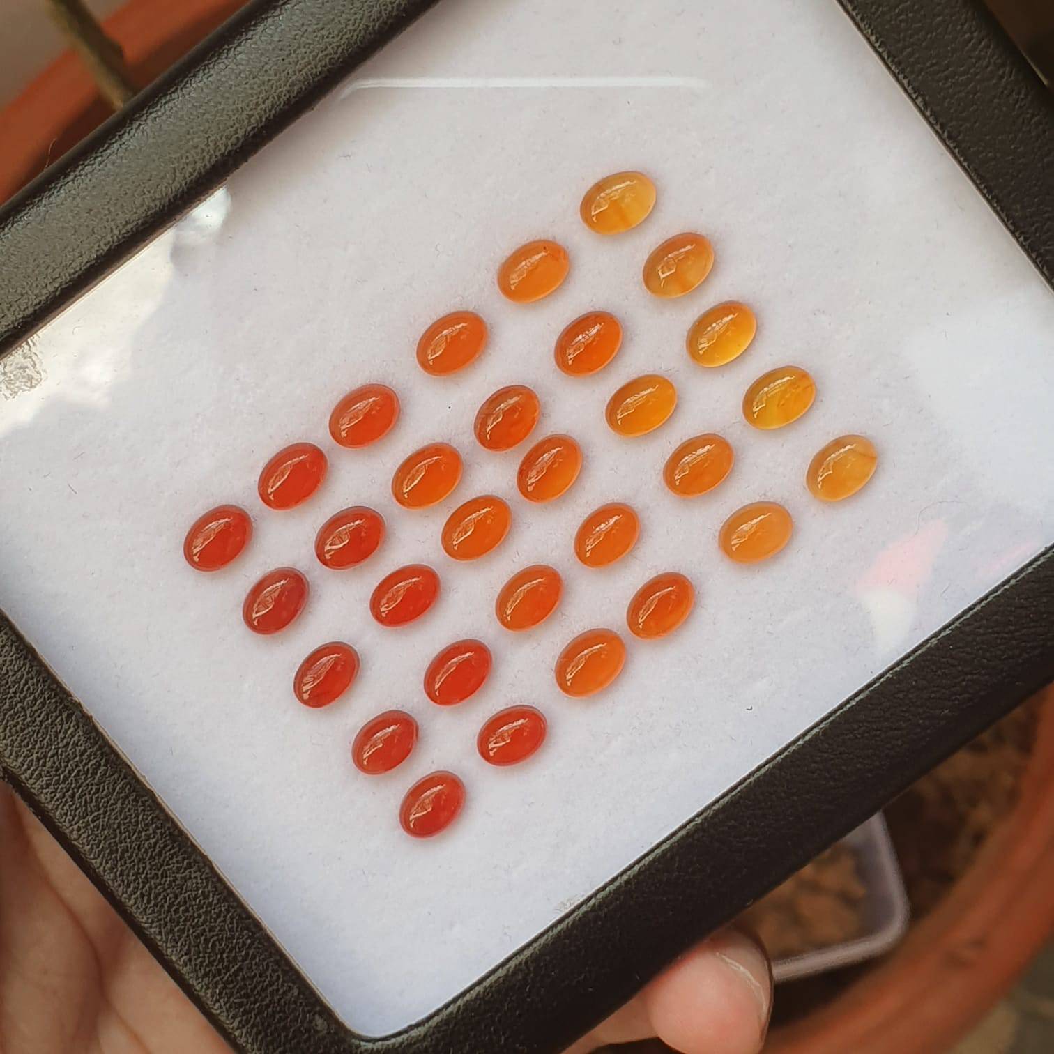 Natural Carnelian Graduated Color Contrast Set 30pcs/ 8mm Cabochons - The LabradoriteKing