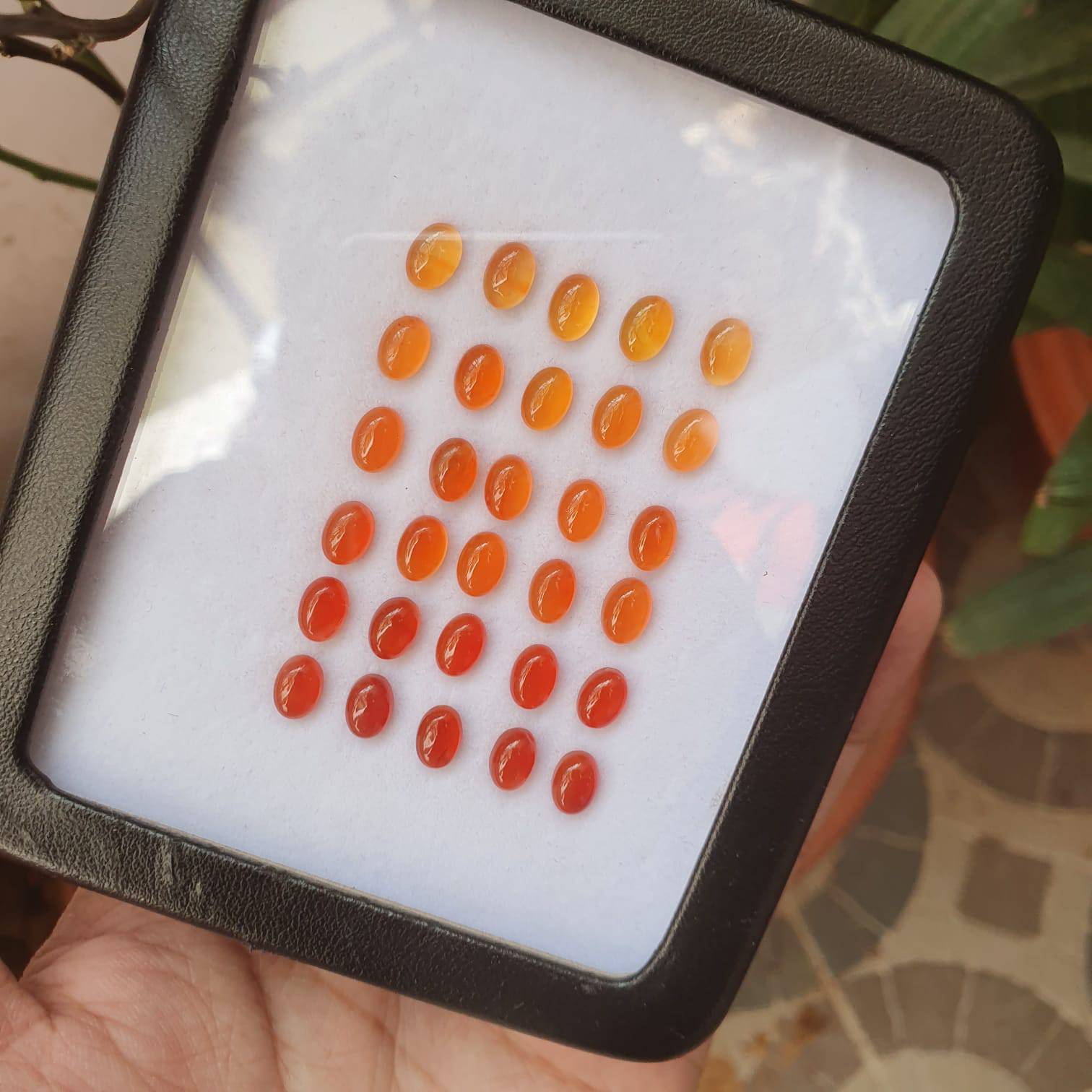 Natural Carnelian Graduated Color Contrast Set 30pcs/ 8mm Cabochons - The LabradoriteKing