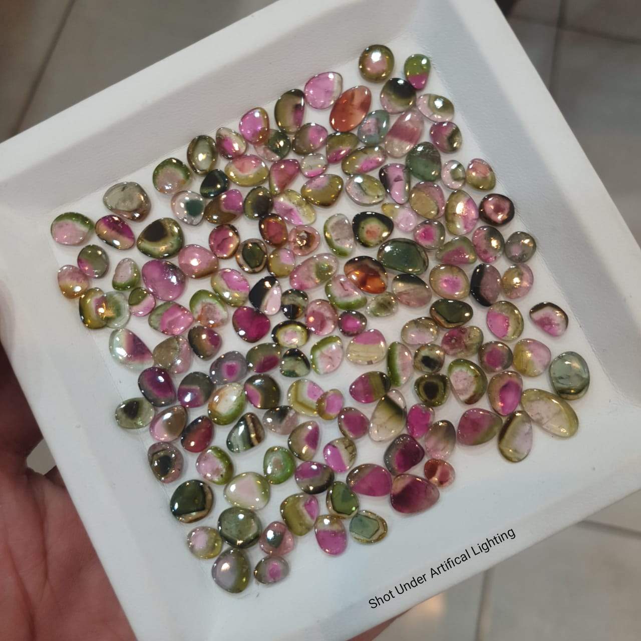 Price Drop🔥 12 Pcs Watermelon Tourmalines Tri/Bi Colour Polished Slices | Flat On both side | Untreated 6-11mm - The LabradoriteKing