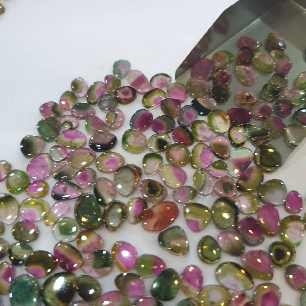 Price Drop🔥 12 Pcs Watermelon Tourmalines Tri/Bi Colour Polished Slices | Flat On both side | Untreated 6-11mm - The LabradoriteKing