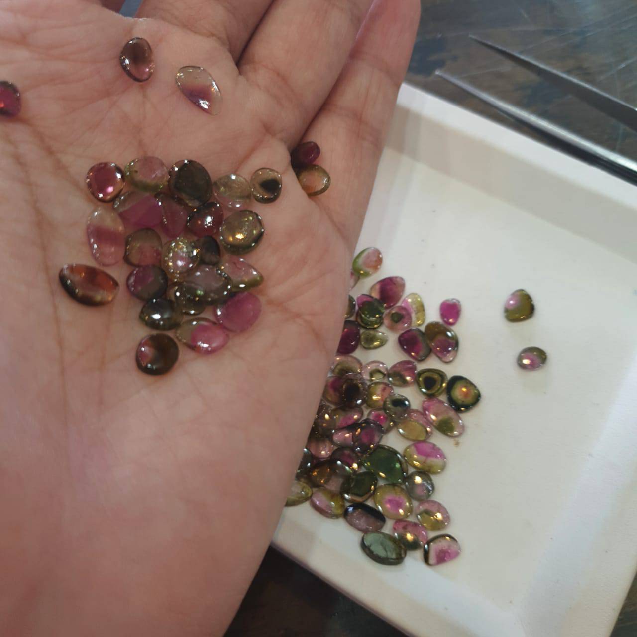 Price Drop🔥 12 Pcs Watermelon Tourmalines Tri/Bi Colour Polished Slices | Flat On both side | Untreated 6-11mm - The LabradoriteKing