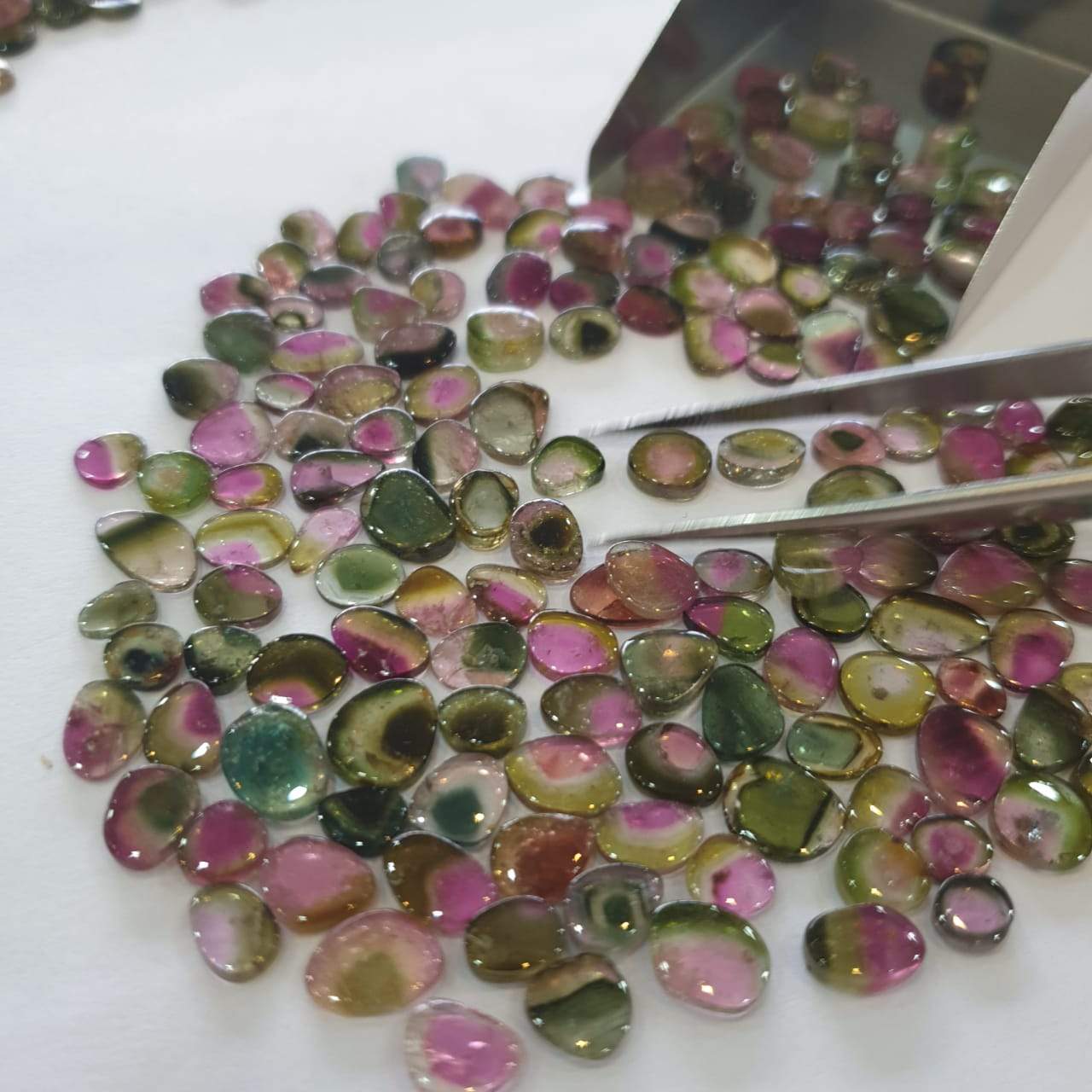 Price Drop🔥 12 Pcs Watermelon Tourmalines Tri/Bi Colour Polished Slices | Flat On both side | Untreated 6-11mm - The LabradoriteKing