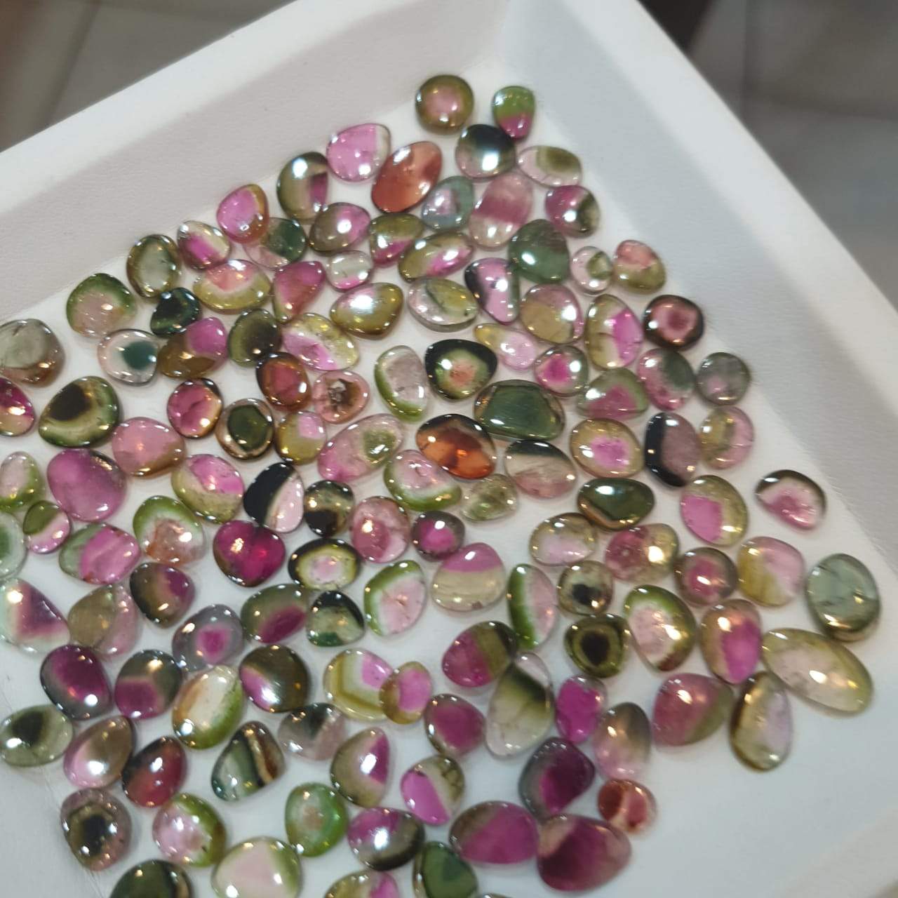 Price Drop🔥 12 Pcs Watermelon Tourmalines Tri/Bi Colour Polished Slices | Flat On both side | Untreated 6-11mm - The LabradoriteKing