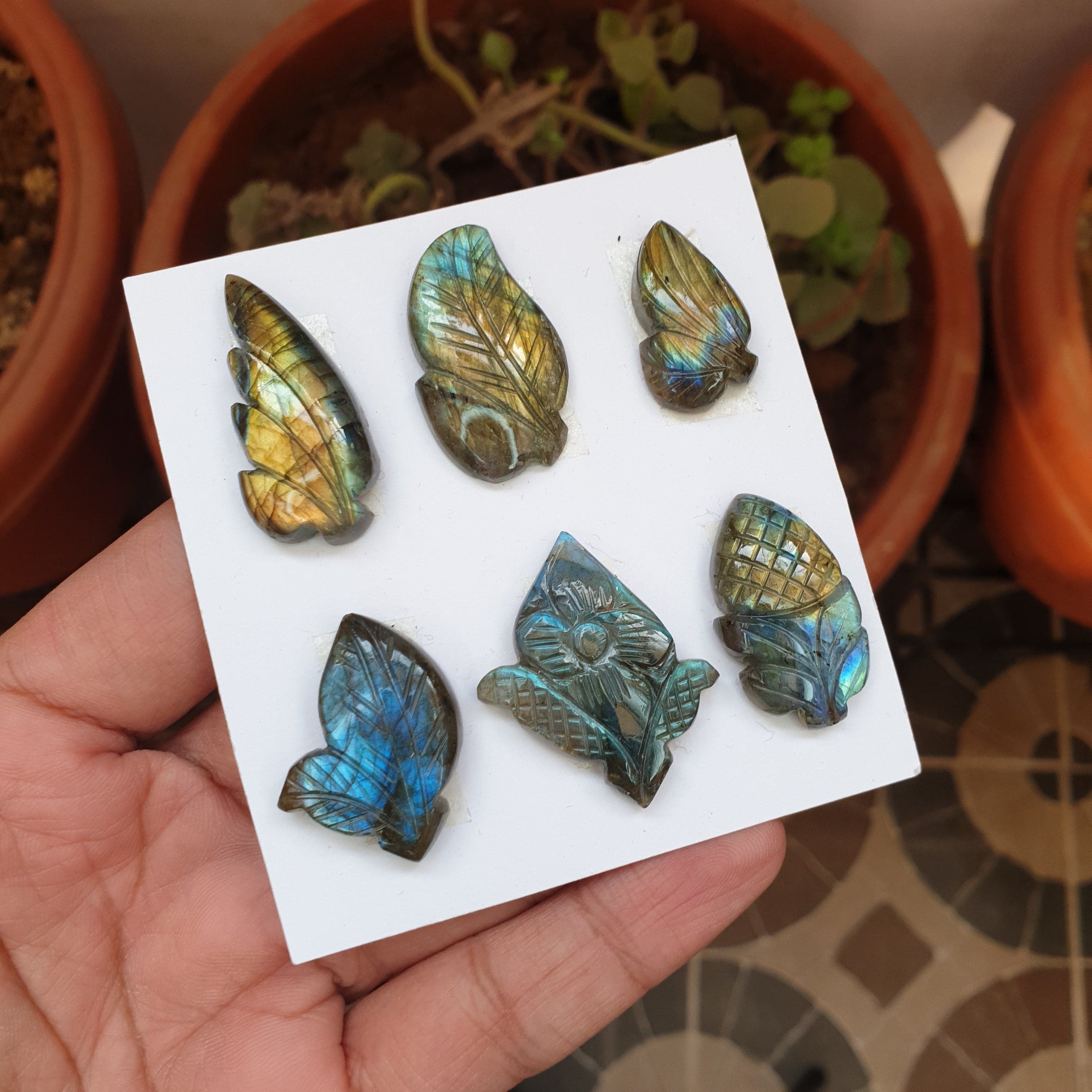 SALE🔥 6 Pcs Natural Labradorite Flower Carved Cabochon Gemstones | Fancy Shape, Sizes: 25-36mm - The LabradoriteKing
