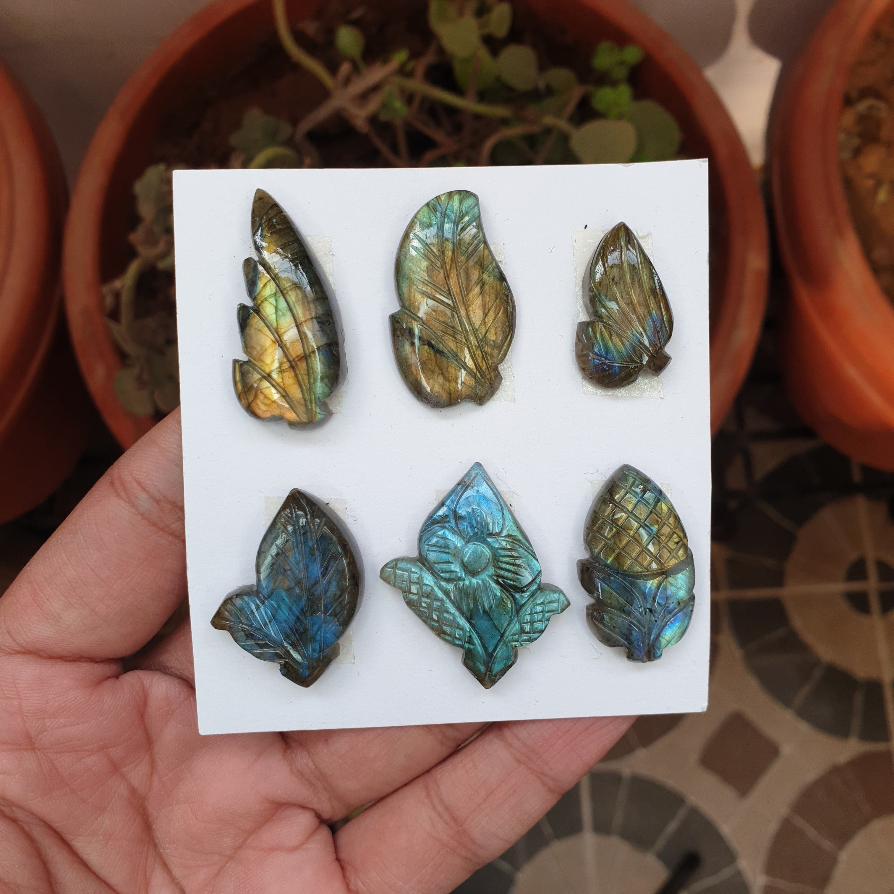 SALE🔥 6 Pcs Natural Labradorite Flower Carved Cabochon Gemstones | Fancy Shape, Sizes: 25-36mm - The LabradoriteKing