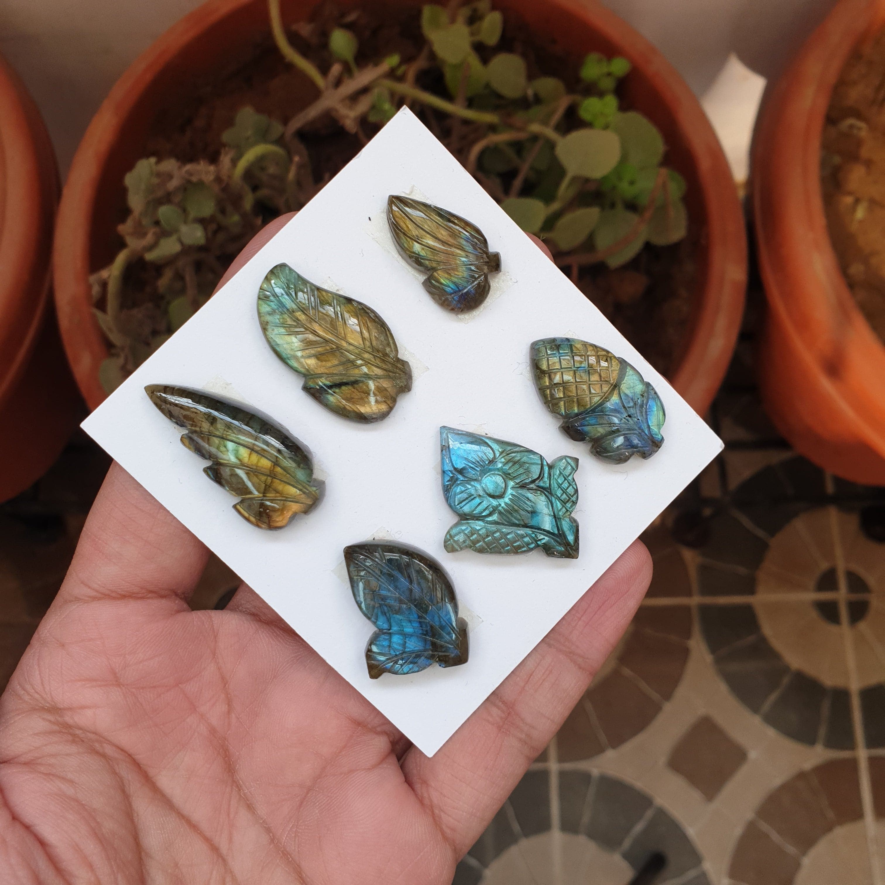 SALE🔥 6 Pcs Natural Labradorite Flower Carved Cabochon Gemstones | Fancy Shape, Sizes: 25-36mm - The LabradoriteKing