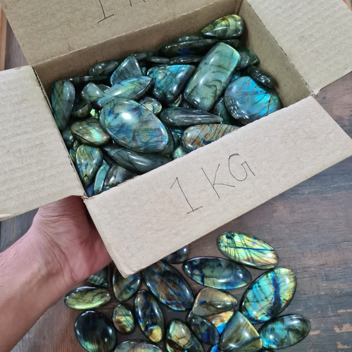 Wholesaleš„ Labradorite Cabochons Slabs | Flashy High quality slabs 1-4"Inches - The LabradoriteKing