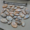 250g Natural BI-Color Moonstone Gemstones | 40–50 Pcs Approx. | 17–44mm - The LabradoriteKing