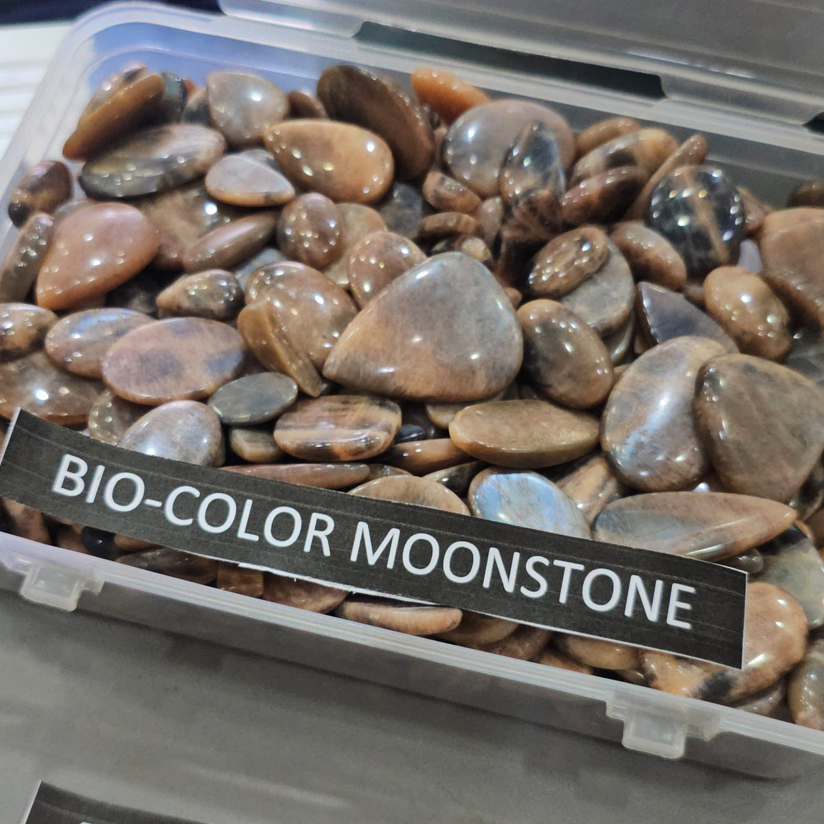 250g Natural BI-Color Moonstone Gemstones | 40–50 Pcs Approx. | 17–44mm - The LabradoriteKing