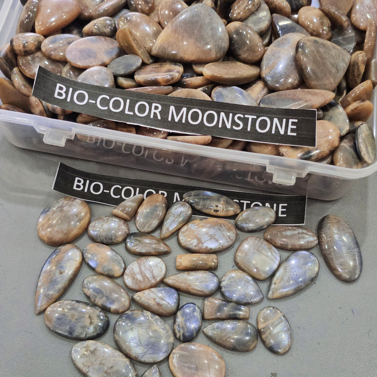 250g Natural BI-Color Moonstone Gemstones | 40–50 Pcs Approx. | 17–44mm - The LabradoriteKing
