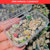 Clearance: 200 Carats Black Smoked Opal Rough Lot | Big size 10–25mm | Ethiopian