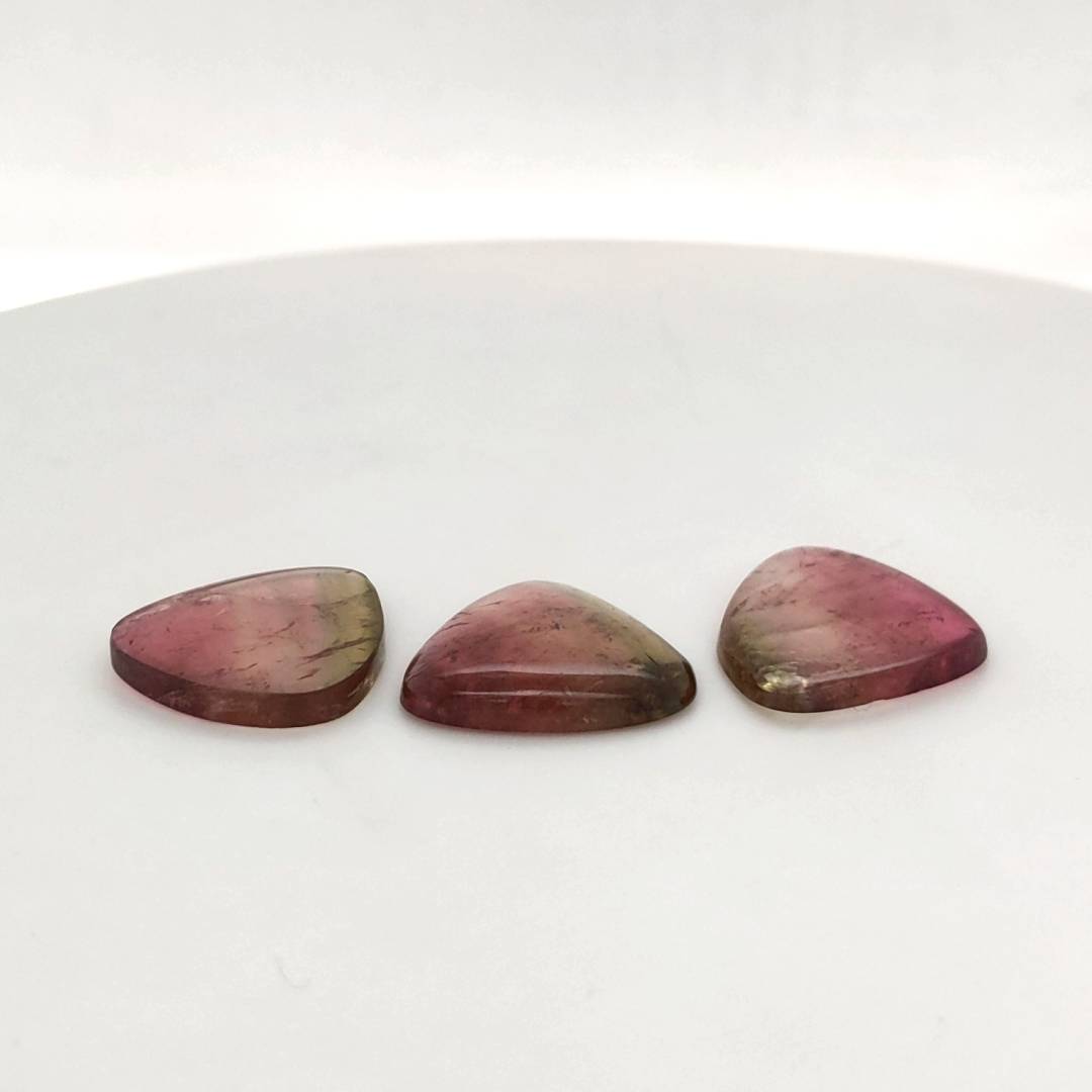 3 Pisc Of Natural Watermelon Tourmaline Slice | Size:17-19mm | With Certificate - The LabradoriteKing