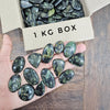 1 KG Box of Kambaba Fossil Jasper | 100-120 Pcs | 1